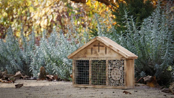 Insektenhotel aus geflämmtem Holz